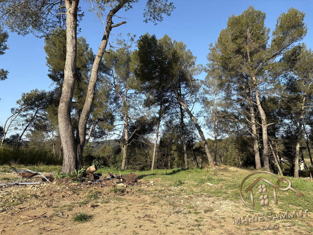 Terrain à SAINT-CLEMENT-DE-RIVIERE