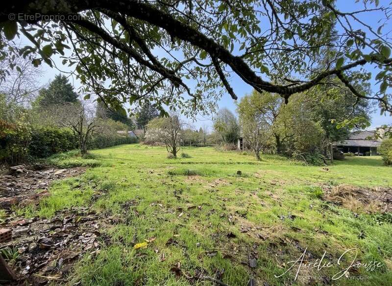 Terrain à SAINT-LAURENT-LES-EGLISES