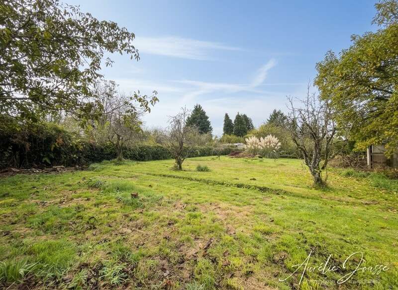Terrain à SAINT-LAURENT-LES-EGLISES