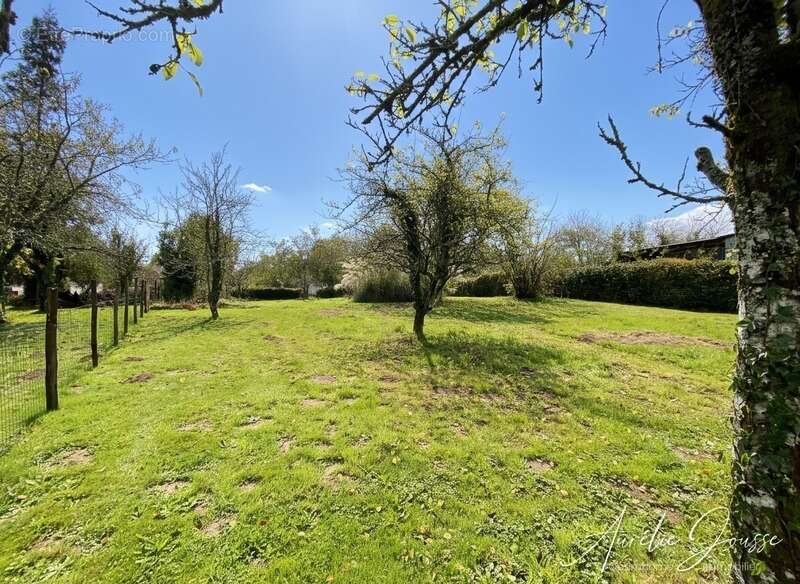 Terrain à SAINT-LAURENT-LES-EGLISES