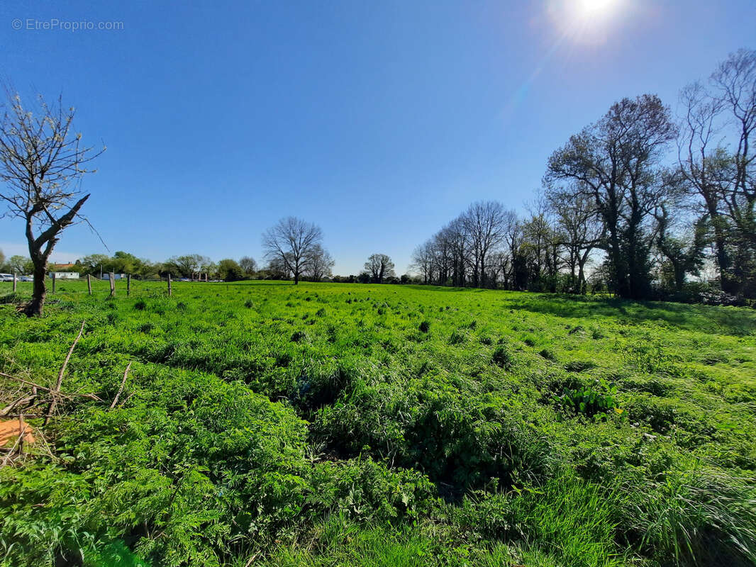 Maison à PUYRAVAULT