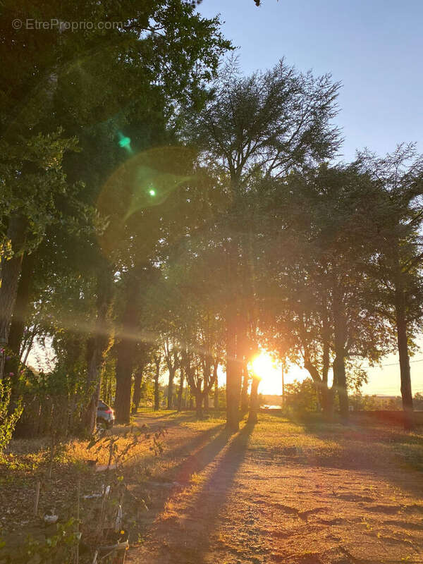 Terrain à CURIS-AU-MONT-D&#039;OR