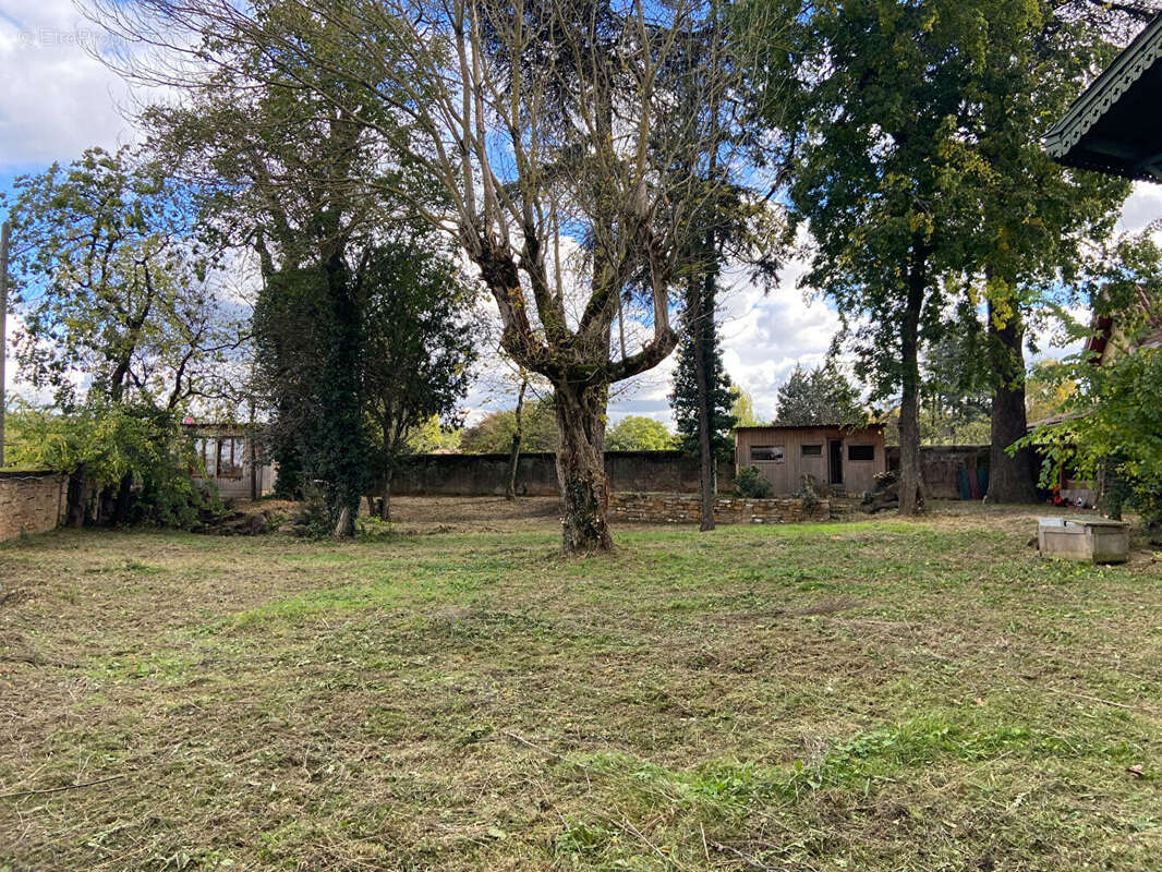 Terrain à CURIS-AU-MONT-D&#039;OR