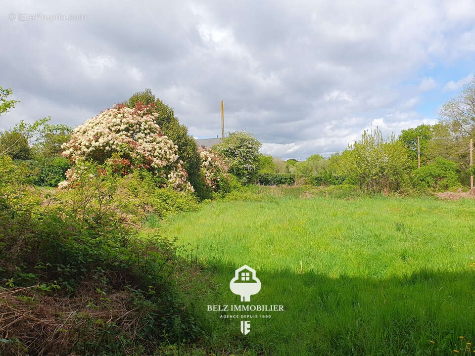 Maison à LOCOAL-MENDON