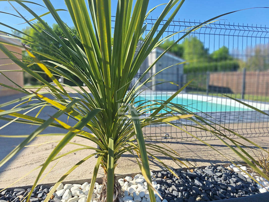 Maison à MONTPON-MENESTEROL