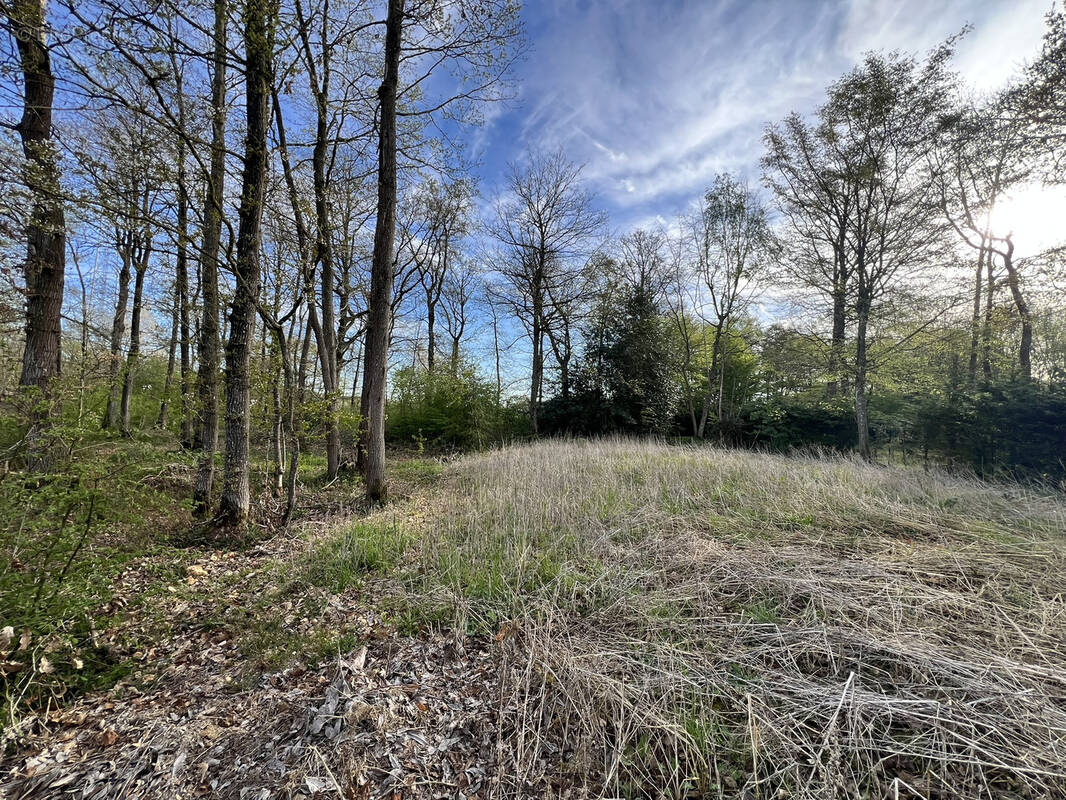 Terrain à LE FIDELAIRE