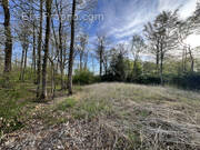 Terrain à LE FIDELAIRE