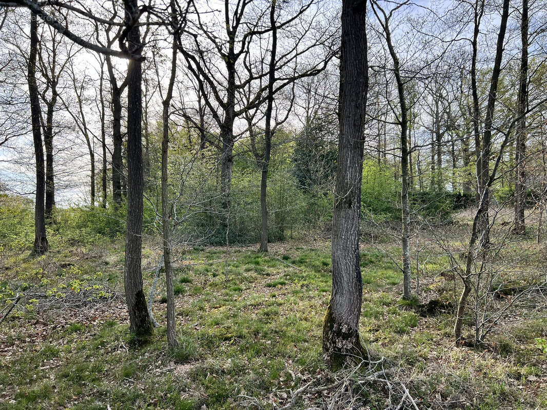 Terrain à LE FIDELAIRE