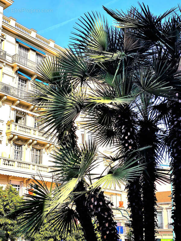 Appartement à MENTON