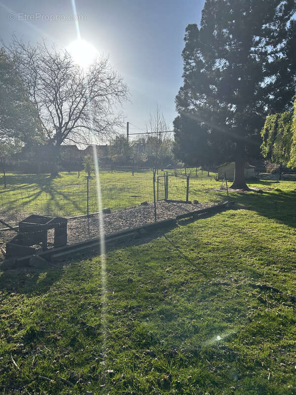 Maison à OSTRICOURT