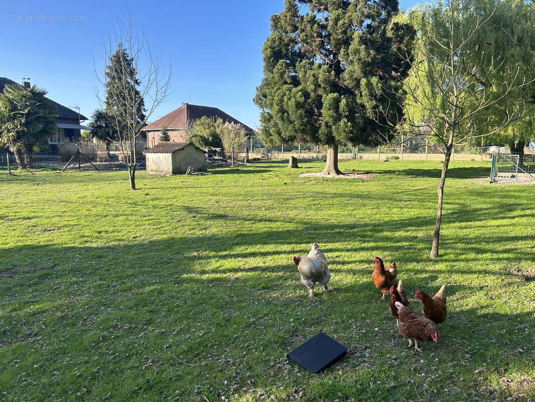 Maison à OSTRICOURT