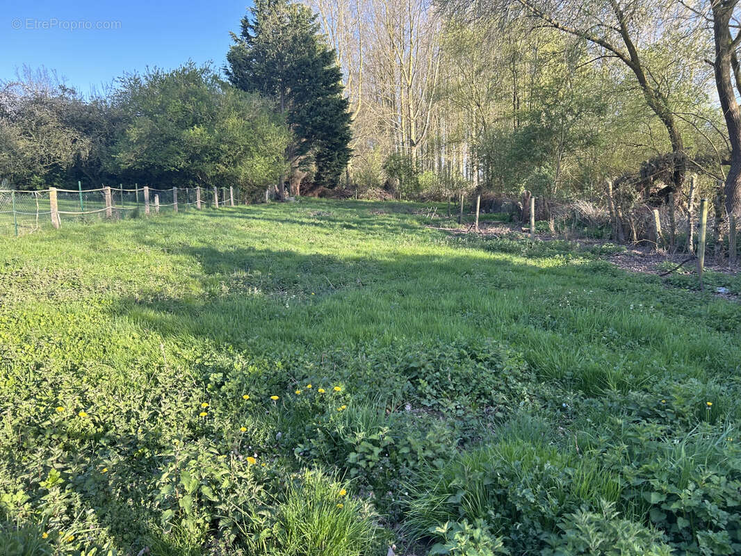 Maison à OSTRICOURT