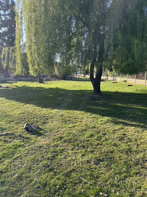 Maison à OSTRICOURT