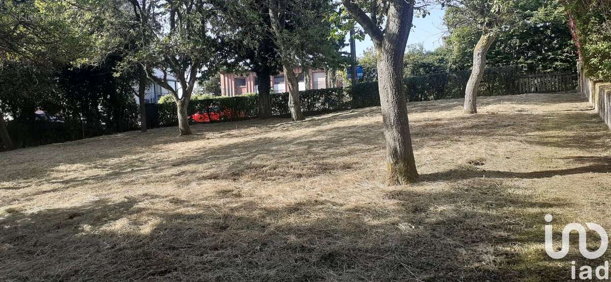 Photo 4 - Terrain à TENTELING