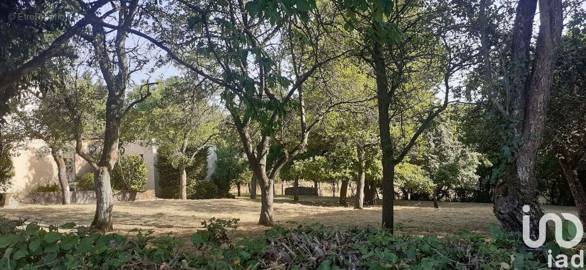 Photo 5 - Terrain à TENTELING