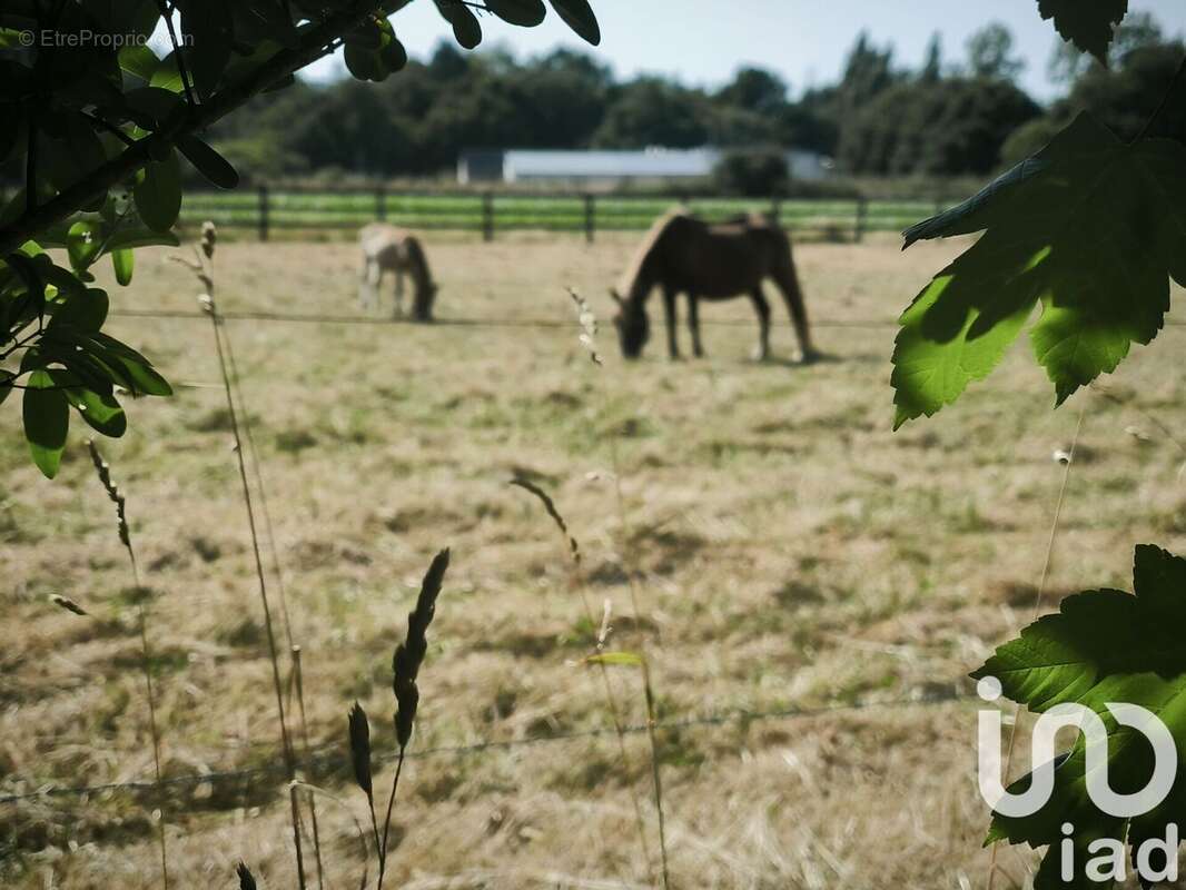 Photo 7 - Maison à BRUZ