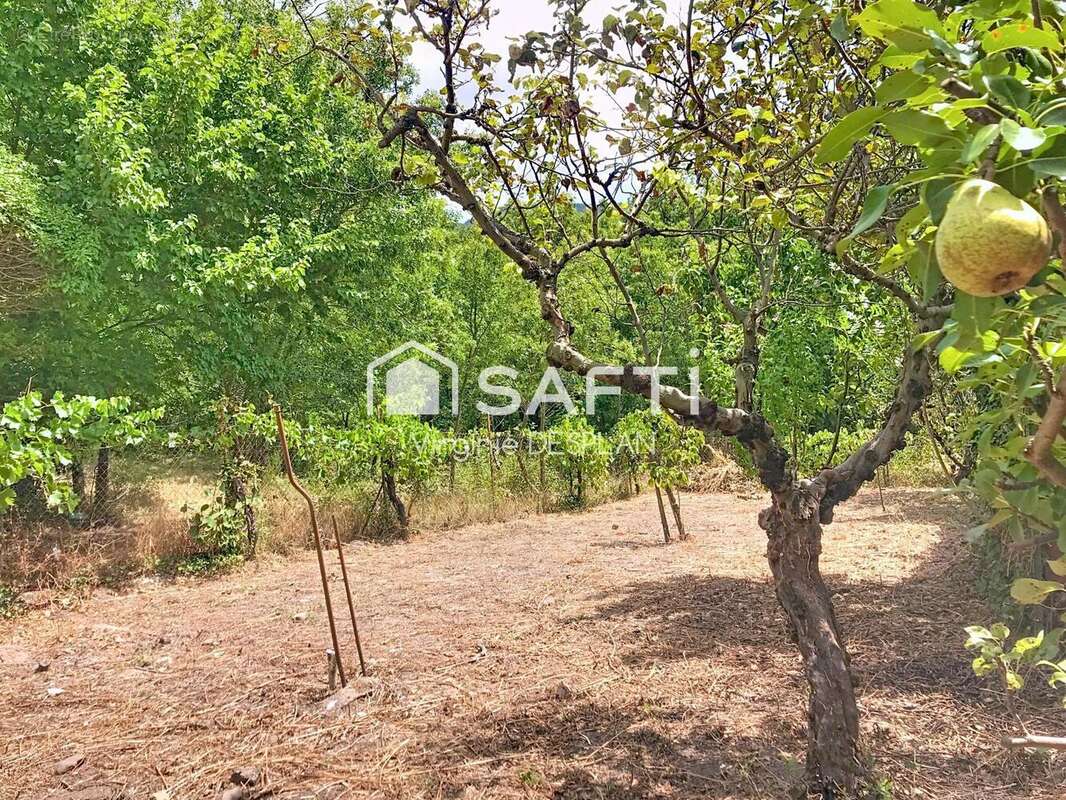 Photo 6 - Terrain à SAINT-ETIENNE-DE-GOURGAS