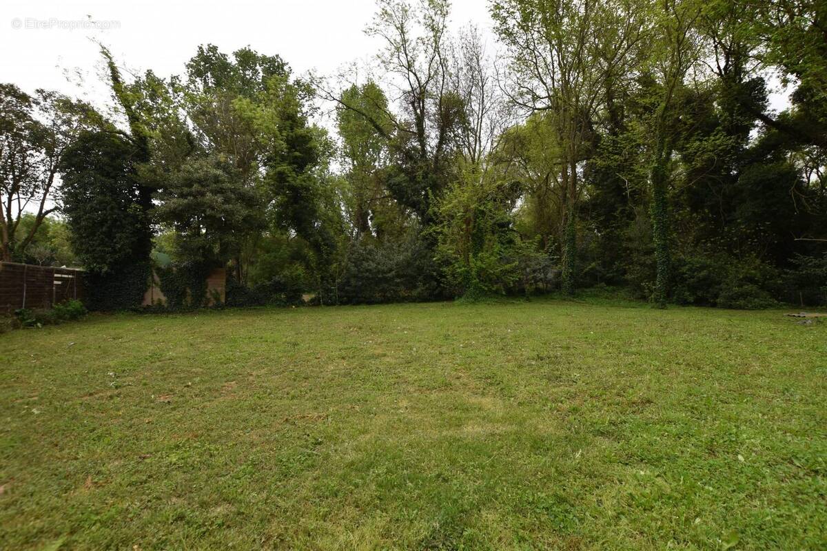 TERRAIN PLAT  - Maison à BOUILLARGUES