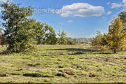 Terrain à NEGREPELISSE