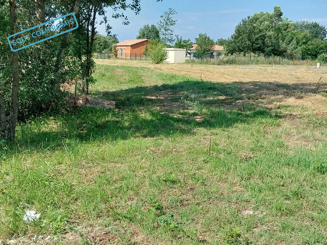 Terrain à NEGREPELISSE