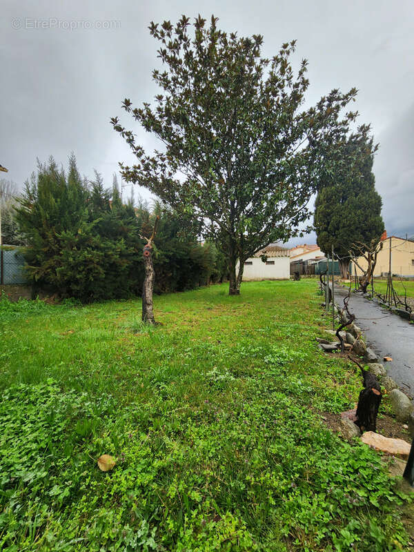 Maison à ARLES-SUR-TECH