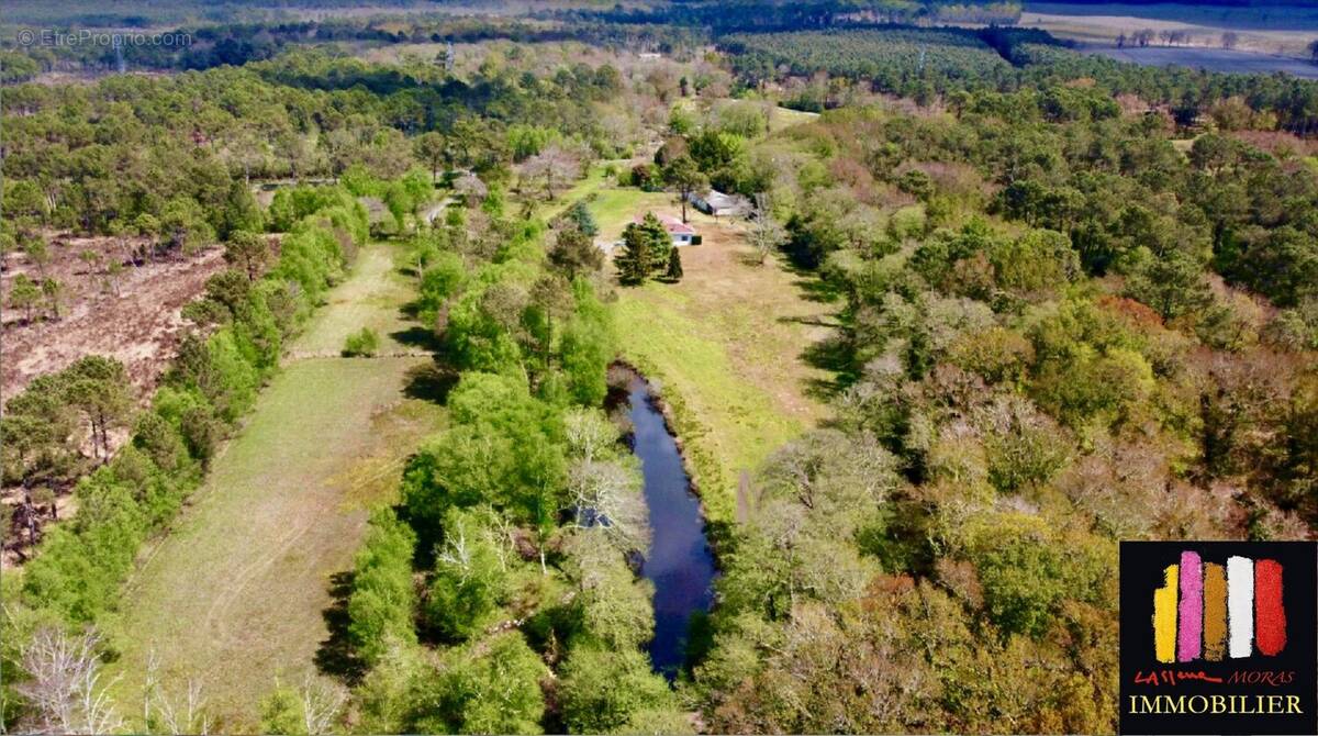 Maison à SAINT-MICHEL-ESCALUS