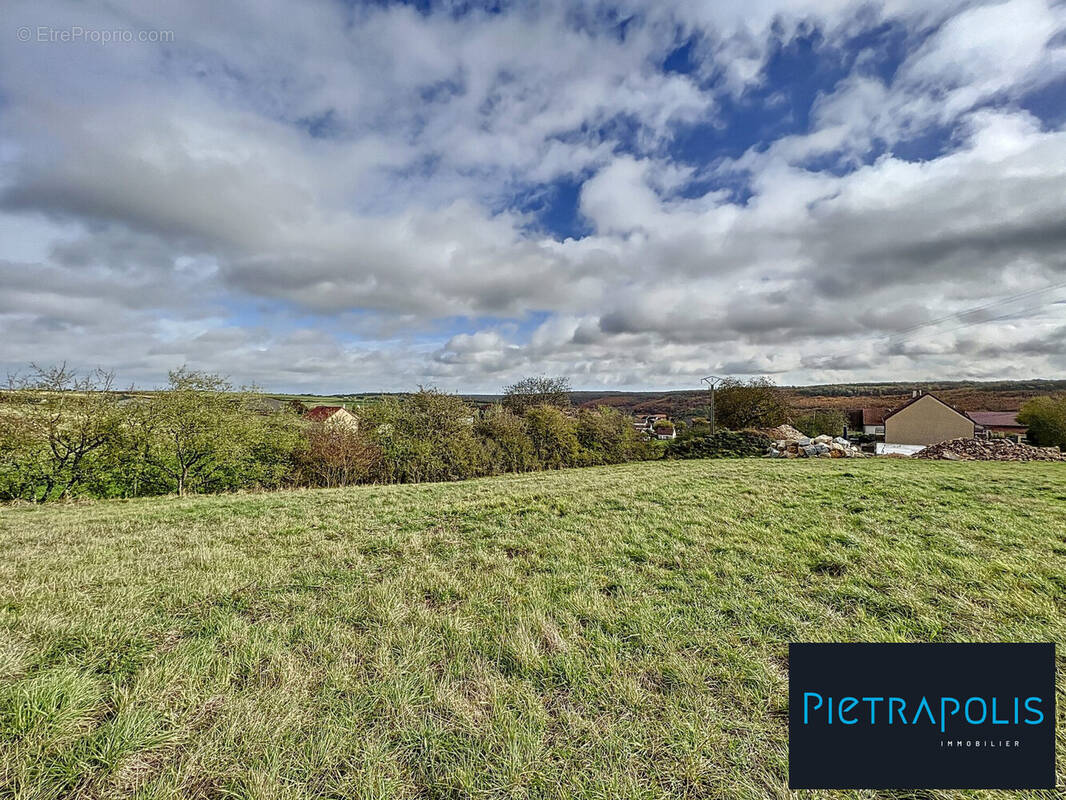 Terrain à FRANCHEVILLE