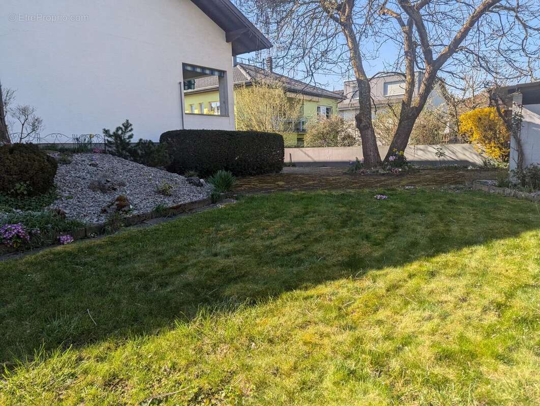 Maison à SAINT-LOUIS