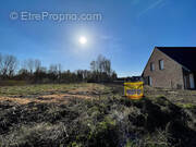 Terrain à MORTAGNE-DU-NORD