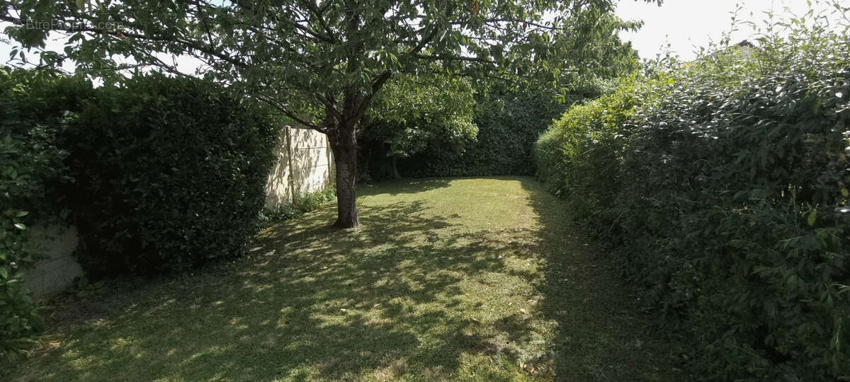 Maison à TREMBLAY-EN-FRANCE