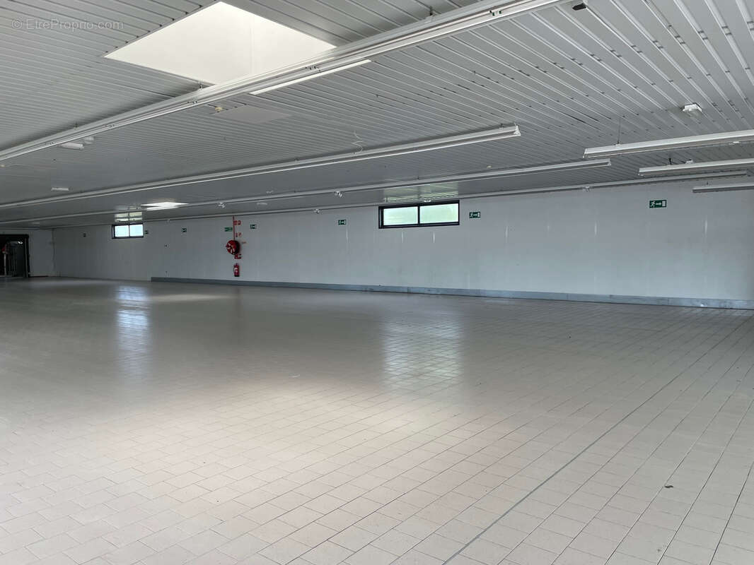 Commerce à GAMACHES