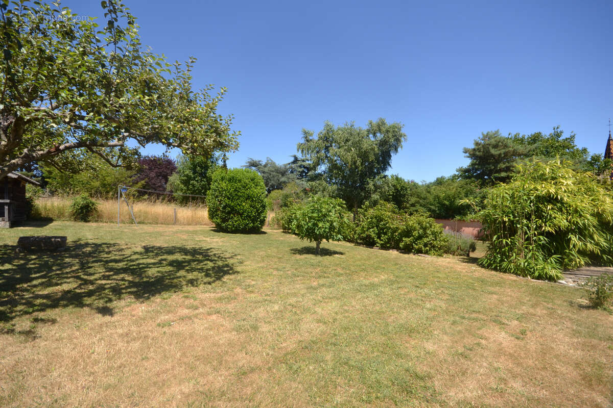 Maison à MONTMELAS-SAINT-SORLIN