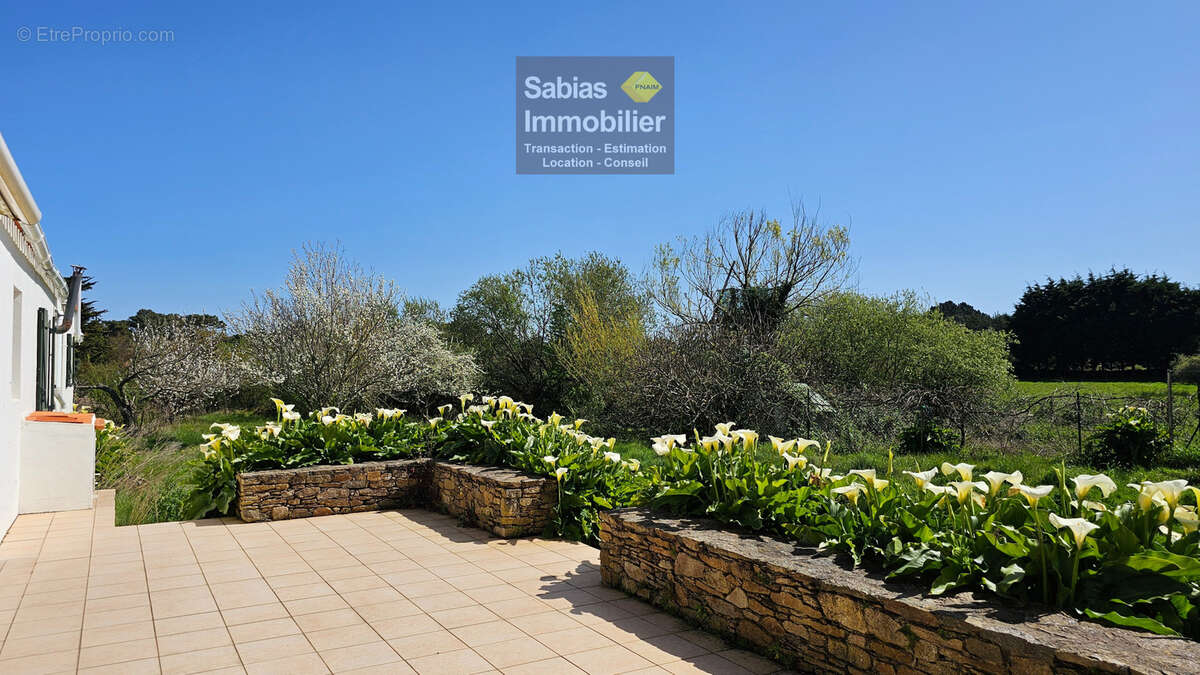 Maison à L&#039;ILE-D&#039;YEU