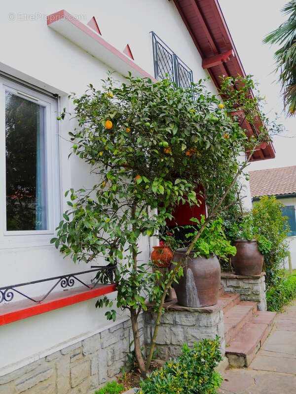 Maison à SAINT-JEAN-DE-LUZ