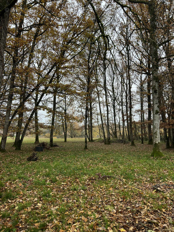 Maison à BAZOCHES-SUR-LE-BETZ