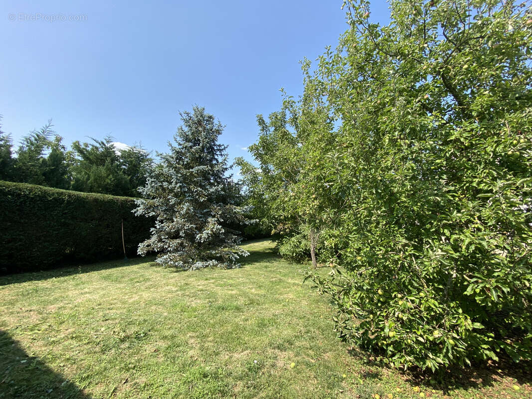 Terrain à VARENNES-SUR-SEINE