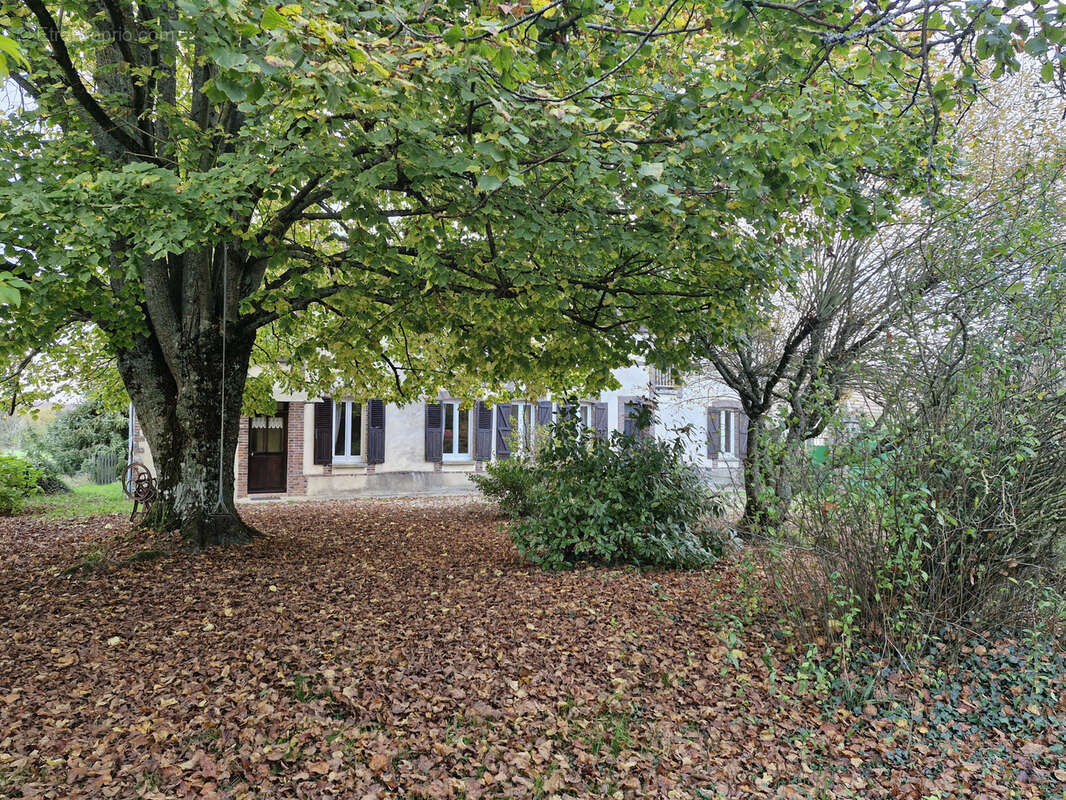 Maison à VILLENEUVE-SUR-YONNE