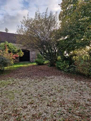 Maison à VILLENEUVE-SUR-YONNE