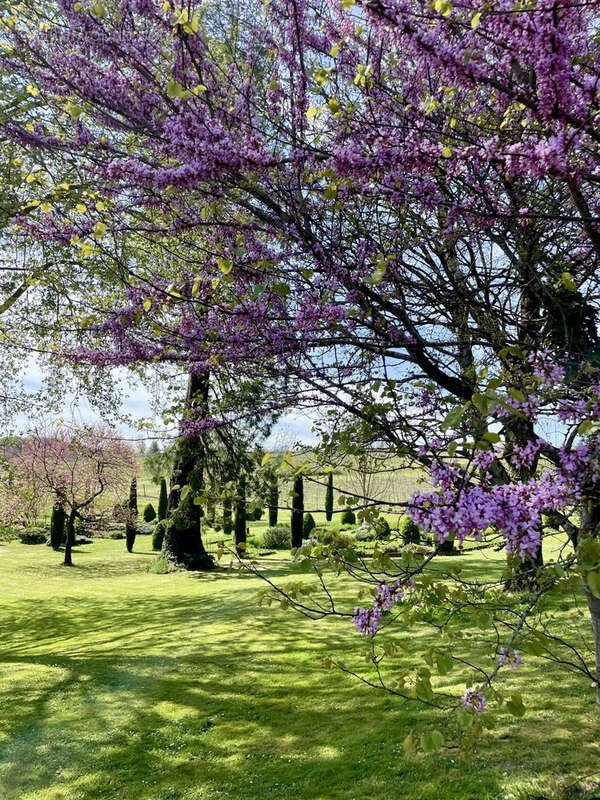 Maison à BOUTEVILLE
