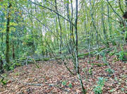 Terrain à PAREMPUYRE