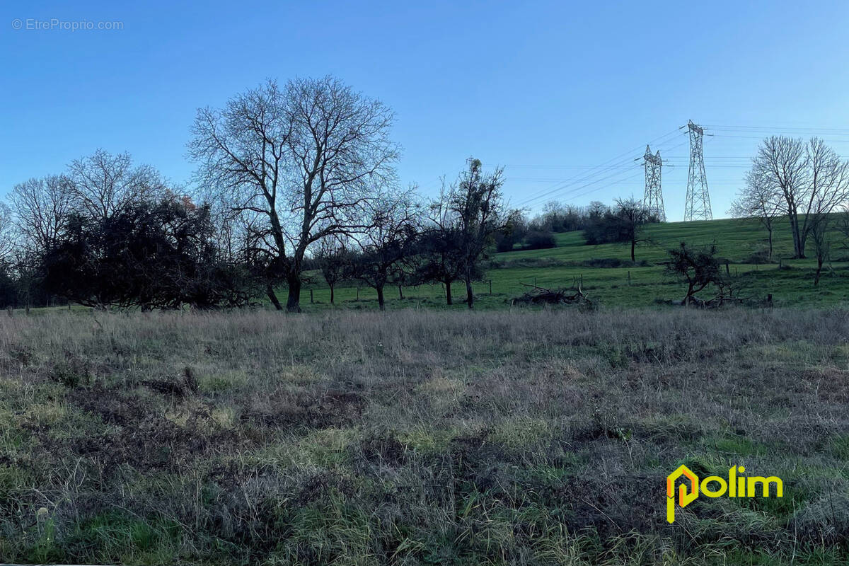 Terrain à VANDIERES