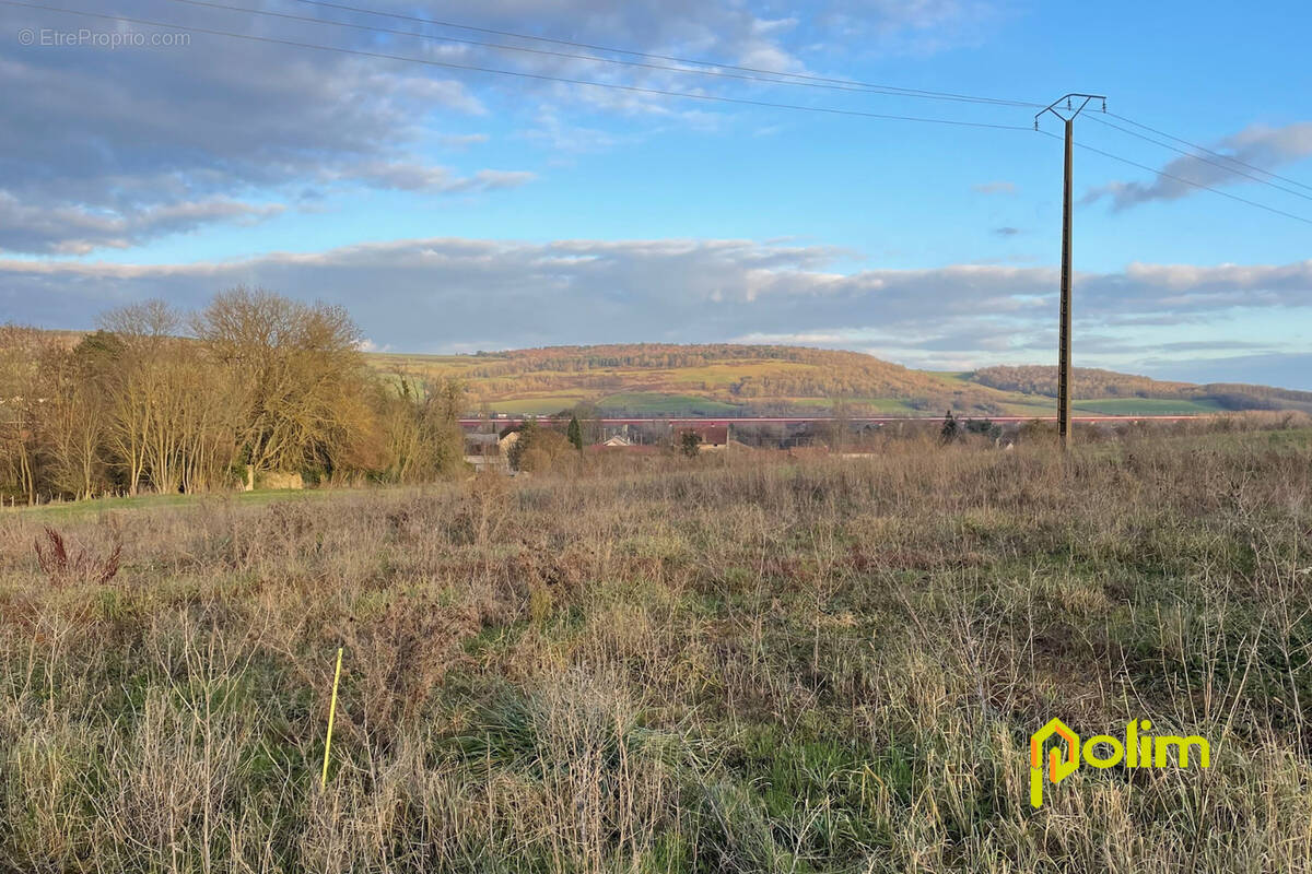 Terrain à VANDIERES