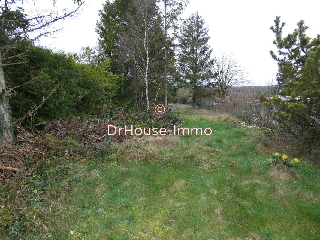 Terrain à BUTHIERS