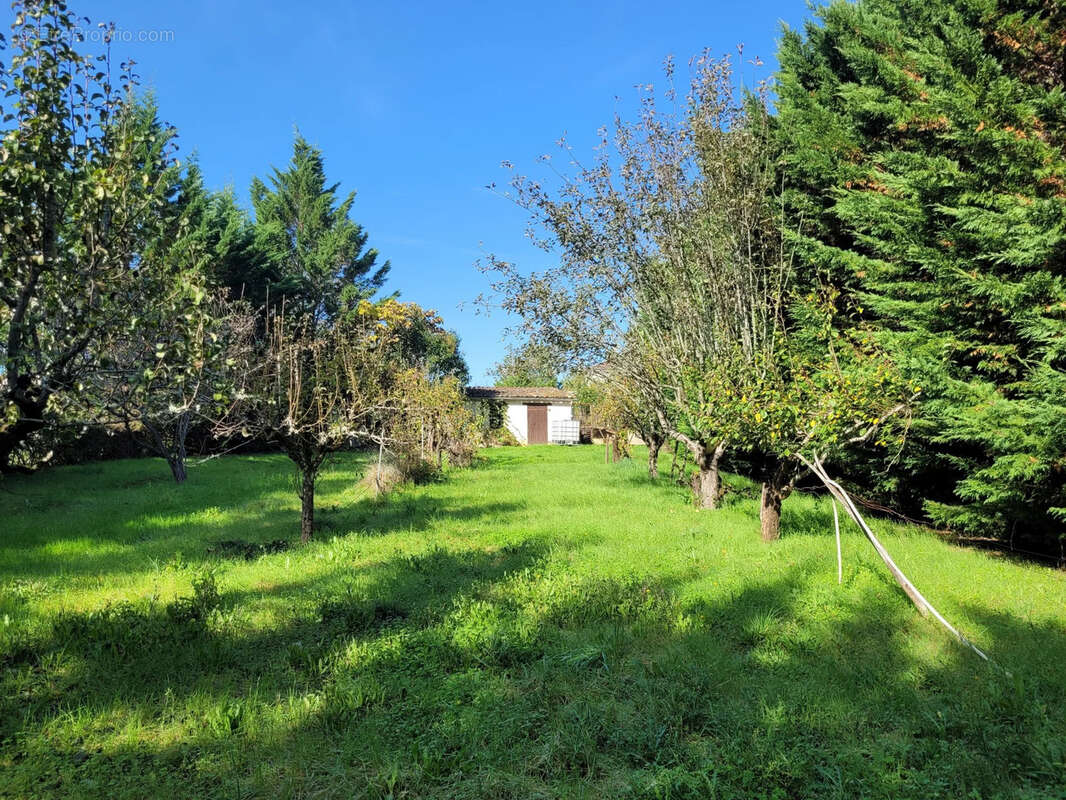 Maison à TRESPOUX-RASSIELS