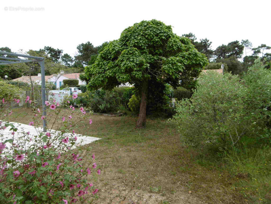 Maison à SAINT-JEAN-DE-MONTS