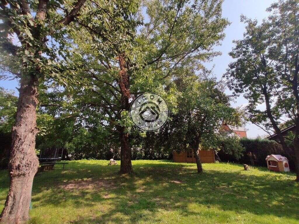 Maison à AULNOYE-AYMERIES