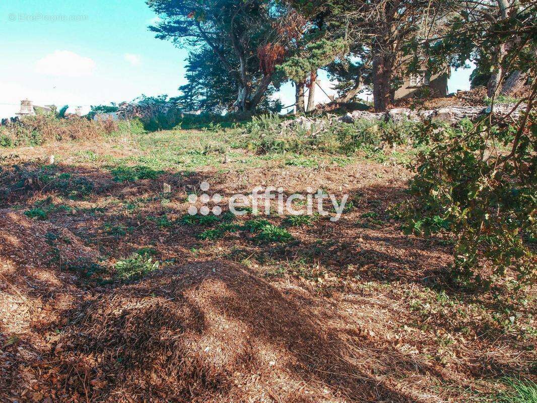 Terrain à PLEUMEUR-BODOU
