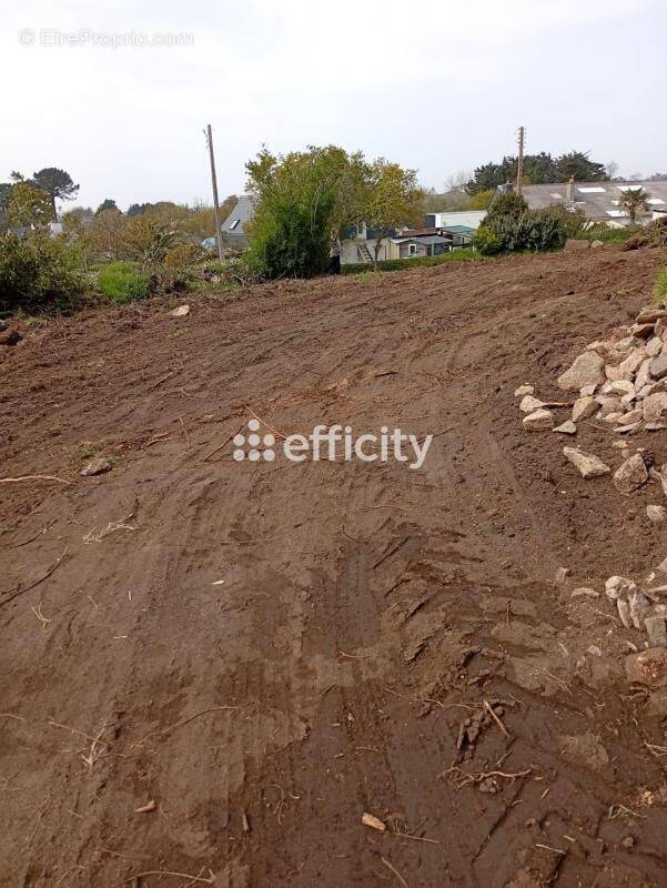 Terrain à PLEUMEUR-BODOU