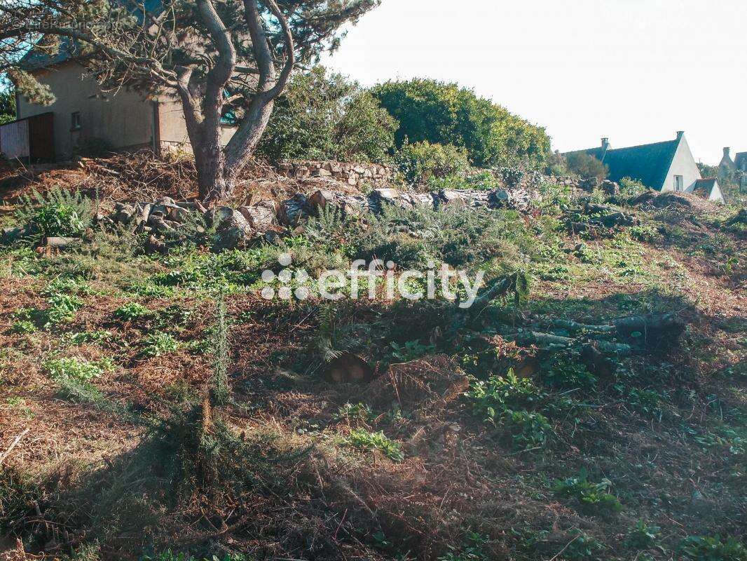 Terrain à PLEUMEUR-BODOU
