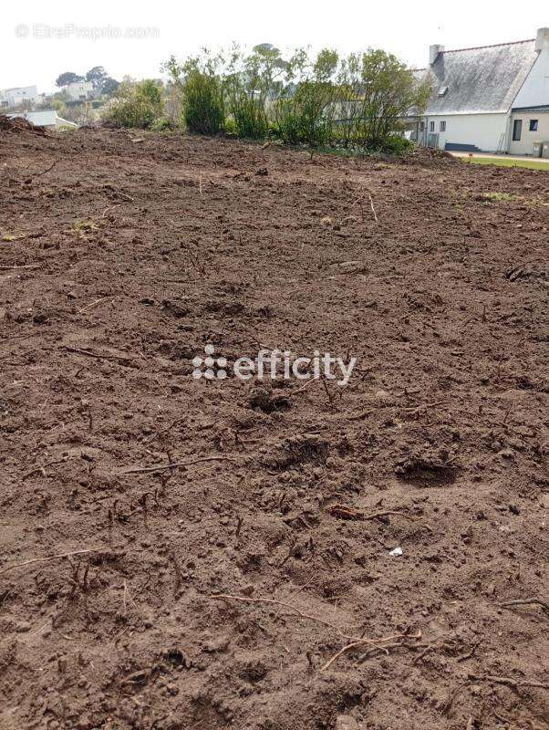 Terrain à PLEUMEUR-BODOU